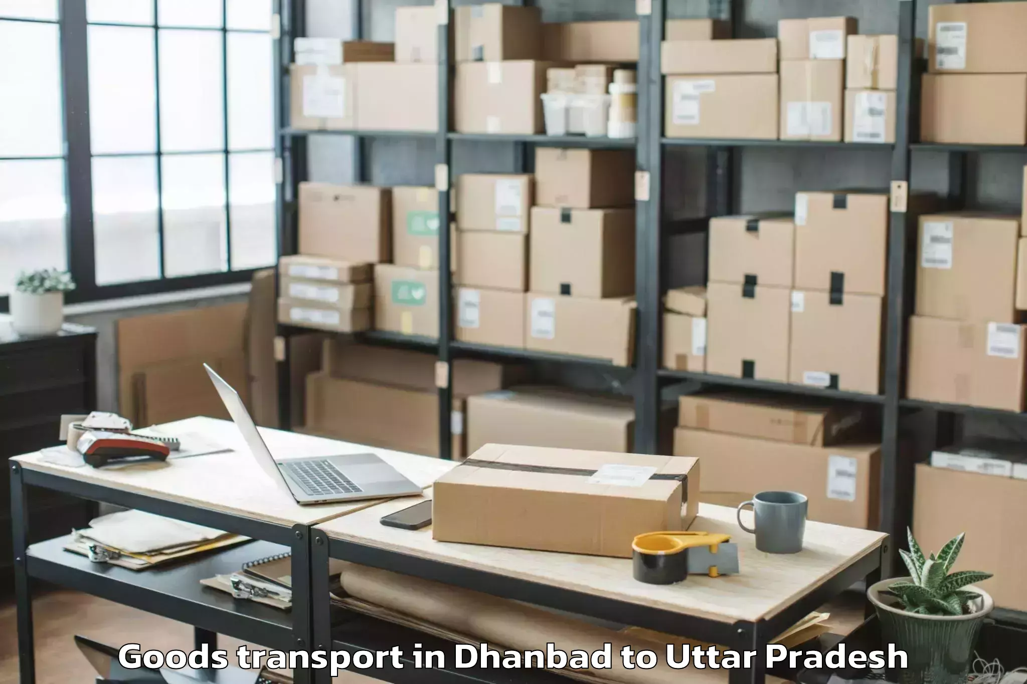 Dhanbad to Maudaha Goods Transport Booking